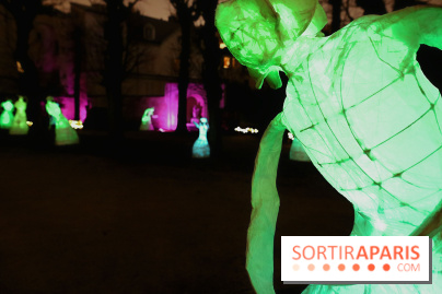 Exposition Silva Lumina au Centre Culturel Irlandais  - Silva Lumina 12