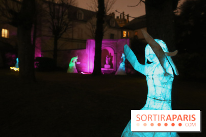 Exposition Silva Lumina au Centre Culturel Irlandais  - Silva Lumina 13