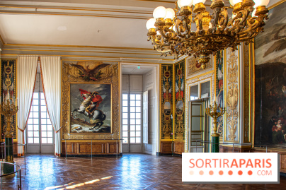 Le Château de Versailles : ouverture de plusieurs salles sur la IIIe République - DSC 2267