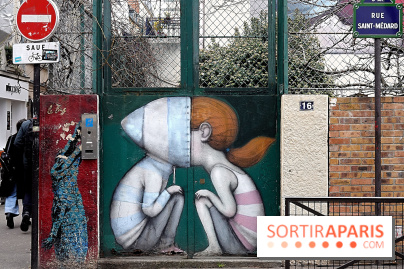 Les œuvres de Seth à Paris et en Île-de-France, nos photos - Seth 1( fotor 2025021516440