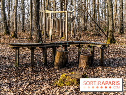Balade sentier : Conte de Mélida, l'esprit de la forêt en forêt de Méridon (78) - A7C02314