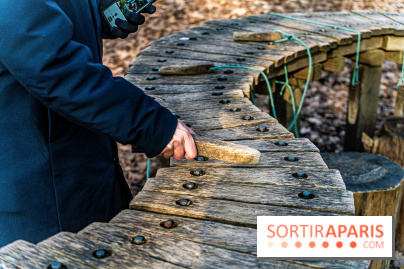 Balade sentier : Conte de Mélida, l'esprit de la forêt en forêt de Méridon (78) - A7C02316
