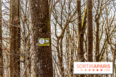 Balade sentier : Conte de Mélida, l'esprit de la forêt en forêt de Méridon (78) - A7C02319