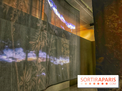 Paysages mouvants - IMG 8696