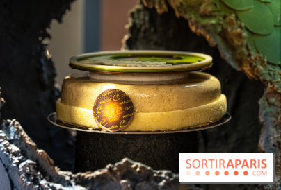 Chocolats de Pâques de la Maison Caffet 2025  -  A7C1754