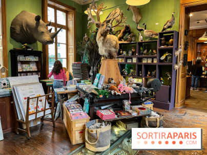 Deyrolle, l'incroyable cabinet de curiosités à Paris - nos photos - image00026