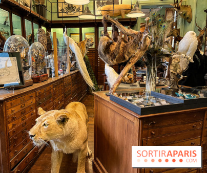 Deyrolle, l'incroyable cabinet de curiosités à Paris - nos photos
