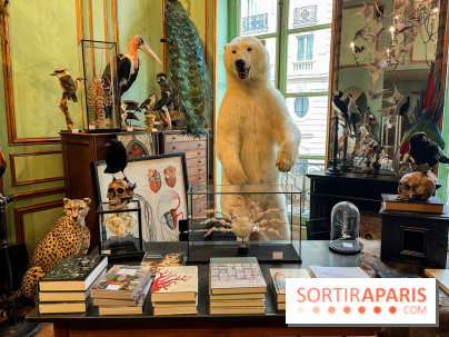 Deyrolle, l'incroyable cabinet de curiosités à Paris - nos photos