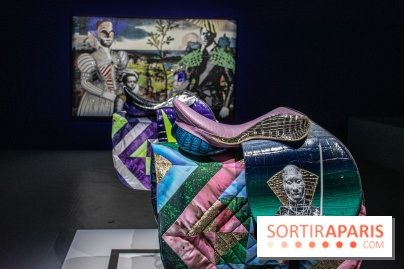 Raphaël Barontini : l'artiste au cœur d'une expo mode au Palais de Tokyo - DSC 2372