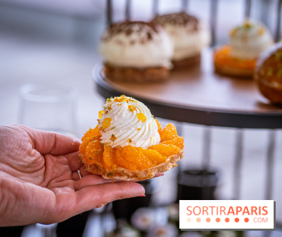 Le tea time éphémère face à la Tour Eiffel au Pullman - A7C02511