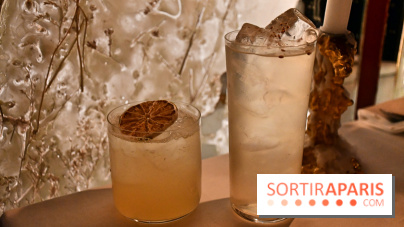 Ojii, l'excellent spot aux allures de bar tokyoïde à Paris - DSC 3538 Fotor