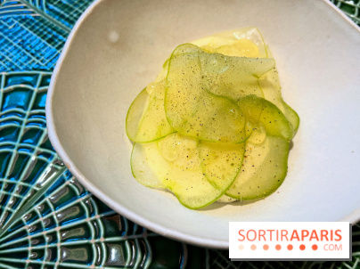 Le Christine - Sorbet pomme, kiwi déshydraté