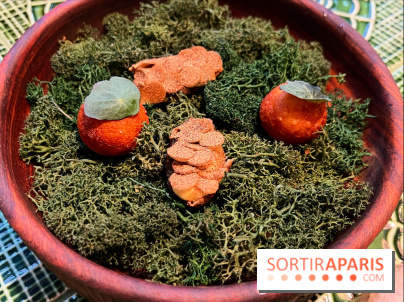 Le Christine - Topinambours soufflés, pomme dauphine