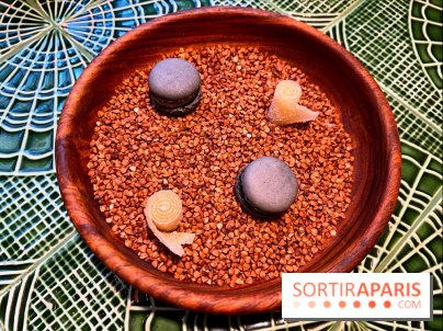 Le Christine - Macaron citron noir, bonbon pomme yuzu