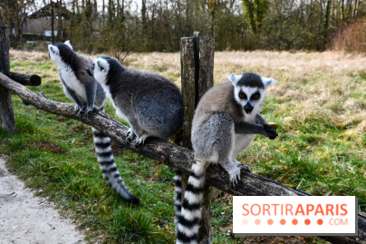 Lumigny Safari Reserve - nos photos