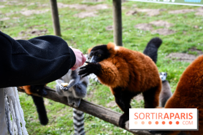 Lumigny Safari Reserve - nos photos - image00006