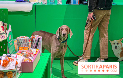 Je T'aime Comme Un Chien : food, mode, déco ... une expo qui a du chien au Bon Marché Rive Gauche - image00060