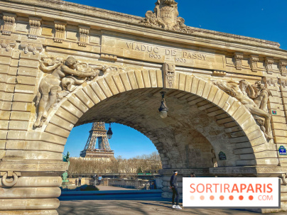 Île aux Cygnes - Viaduc de Passy