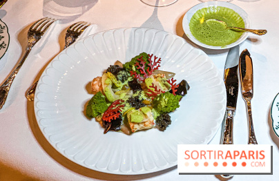 La Forêt Secrète par Jean Imbert au Disneyland Hotel - image00046