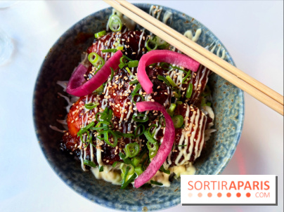 Kuma - Donburi karaage