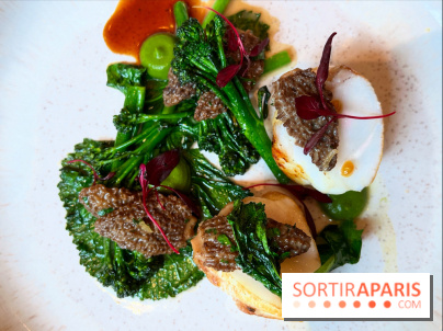 Colvert - Lotte au binchotan, morilles