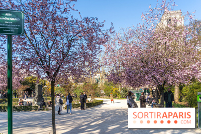 Le Square Viviani devant Notre-Dame de Paris