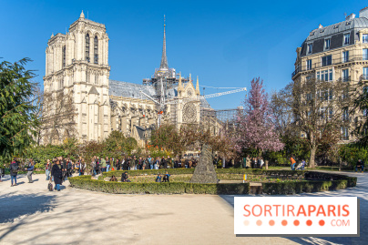 Le Square Viviani devant Notre-Dame de Paris