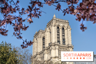 Le Square Viviani devant Notre-Dame de Paris