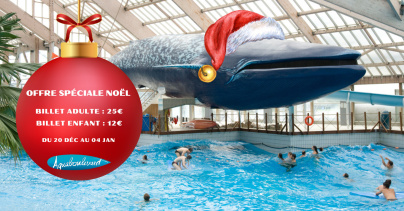 L'Aquaboulevard de Paris vous plonge dans la féérie de Noël à prix tout doux pour les vacances