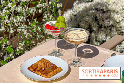 Le Jardin : le nouveau restaurant-terrasse bucolique d'Alain Ducasse chez Baccarat  - image00092