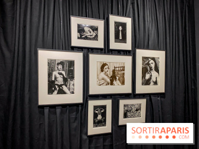 Exposition Irina Ionesco aux galeries Rachel Hardouin et La Lison