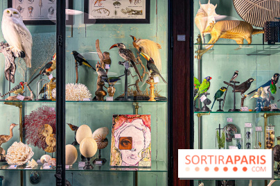 L'exposition gratuite des œuvres de Johnny Depp dans un cabinet de curiosités parisien - image00048