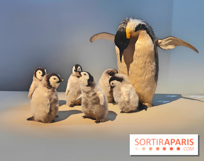 Déserts : l'exposition scientifique se dévoile au Muséum d'Histoire naturelle de Paris - fotor 1743502115937