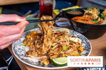 Buja restaurant végétarien thaï et Viet Paris 13e - photos - pad thai