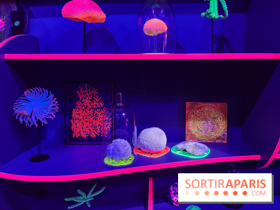 Digital Abysses au musée en Herbe - nos photos - E6BCA310 565F 4759 9D61 097FAD60F57B