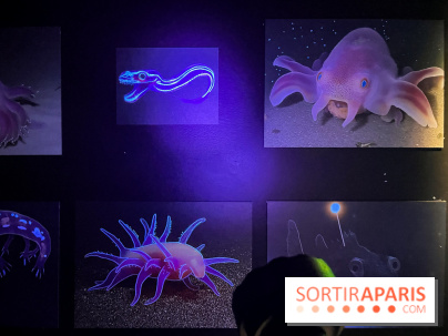 Digital Abysses au musée en Herbe - nos photos - 75DC5D6A 1C62 4583 B62A 02535EB14982