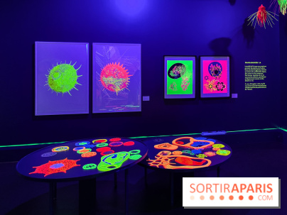 Digital Abysses au musée en Herbe - nos photos - 3745AE4D 21DE 401B 9D84 672927FE40D8