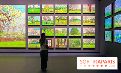 David Hockney : la plus grande exposition retrospective de l'artiste à la Fondation Louis Vuitton - IMG 8663 jpg