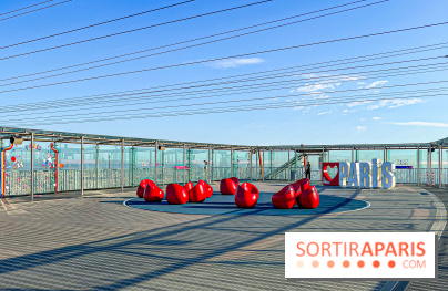 Panoramart : l'exposition créative signée Aurélien Jeanney, perchée au sommet de la Tour Montparnasse - image00034