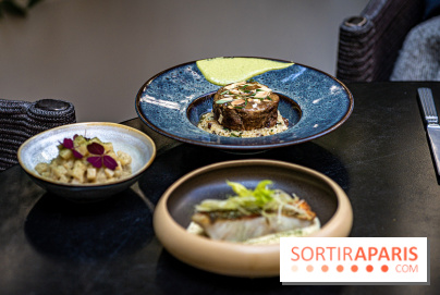 Pimpan, nouveau restaurant à Paris dans le Quartier Latin – Cuisine française moderne à Dame des Arts - A7C06239