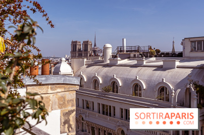 Rooftop de Dame des Arts, la terrasse panoramique sur les toits de Paris - photos - A7C06287