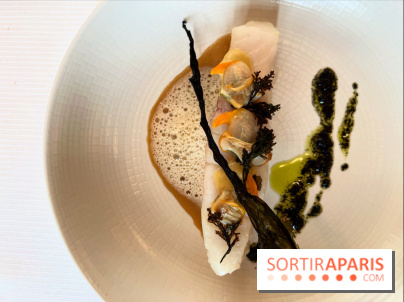 Le Pergolèse - Lieu jaune, coquillages