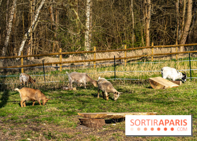La Ferme de l’Abbaye des Vaux de Cernay : l'hôtel de charme en pleine nature dans les Yvelines - photos