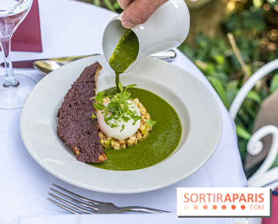 Terrasse de l'Hôtel Particulier, le jardin verdoyant au cœur de Montmartre - photo - A7C06420