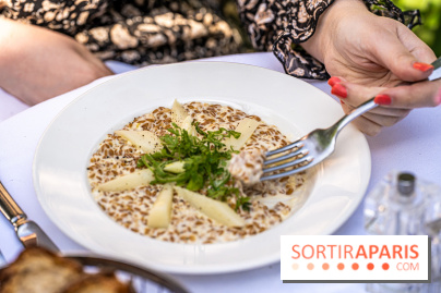 Terrasse de l'Hôtel Particulier, le jardin verdoyant au cœur de Montmartre - photo - A7C06432