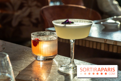 Kinugawa Rive Gauche à Paris, le restaurant en rooftop de l'Hôtel Sax - photos