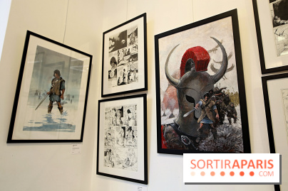 Rétrospective Grzegorz Rosinski, nos photos de l'expo gratuite à Paris - Expo Thorgal 14