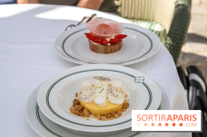 Les Chasses, le restaurant insolite avec une superbe terrasse à l'Abbaye des vaux de Cernay dans les Yvelines - A7C05930