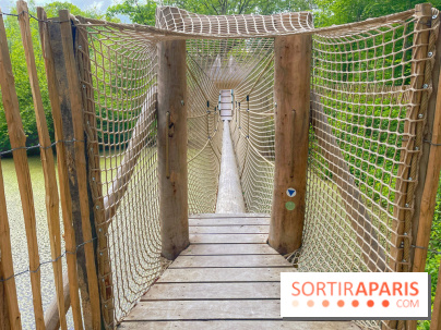 Mission Forêt - IMG 2142