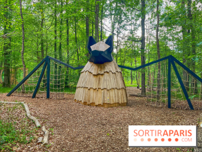 Mission Forêt - IMG 2152